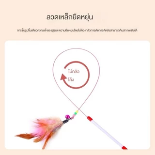 ของเล่นแมว ไม้ตกแมว แบบสปริง ไม้ล่อแมว แบบลวดสลิง ไม้แมว