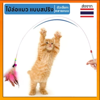 ของเล่นแมว ไม้ตกแมว แบบสปริง ไม้ล่อแมว แบบลวดสลิง ไม้แมว