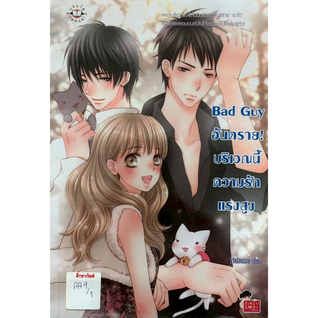 Bad Guy อันตราย! บริเวณนี้ความรักแรงสูง