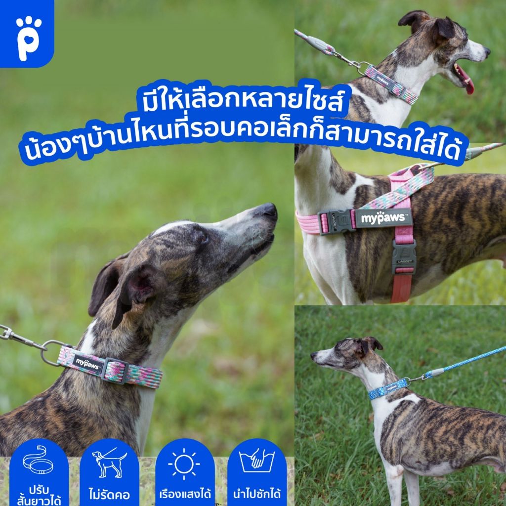 [ 5.15ลดสูงสุด100.-]My Paws ปลอกคอสัตว์เลี้ยง เหมาะกับสุนัขทุกสายพันธุ์ มีให้เลือกหลายสี ราคา ถูกที่สุด ดีลบีเคเค แกลเลอรีภาพที่ 4