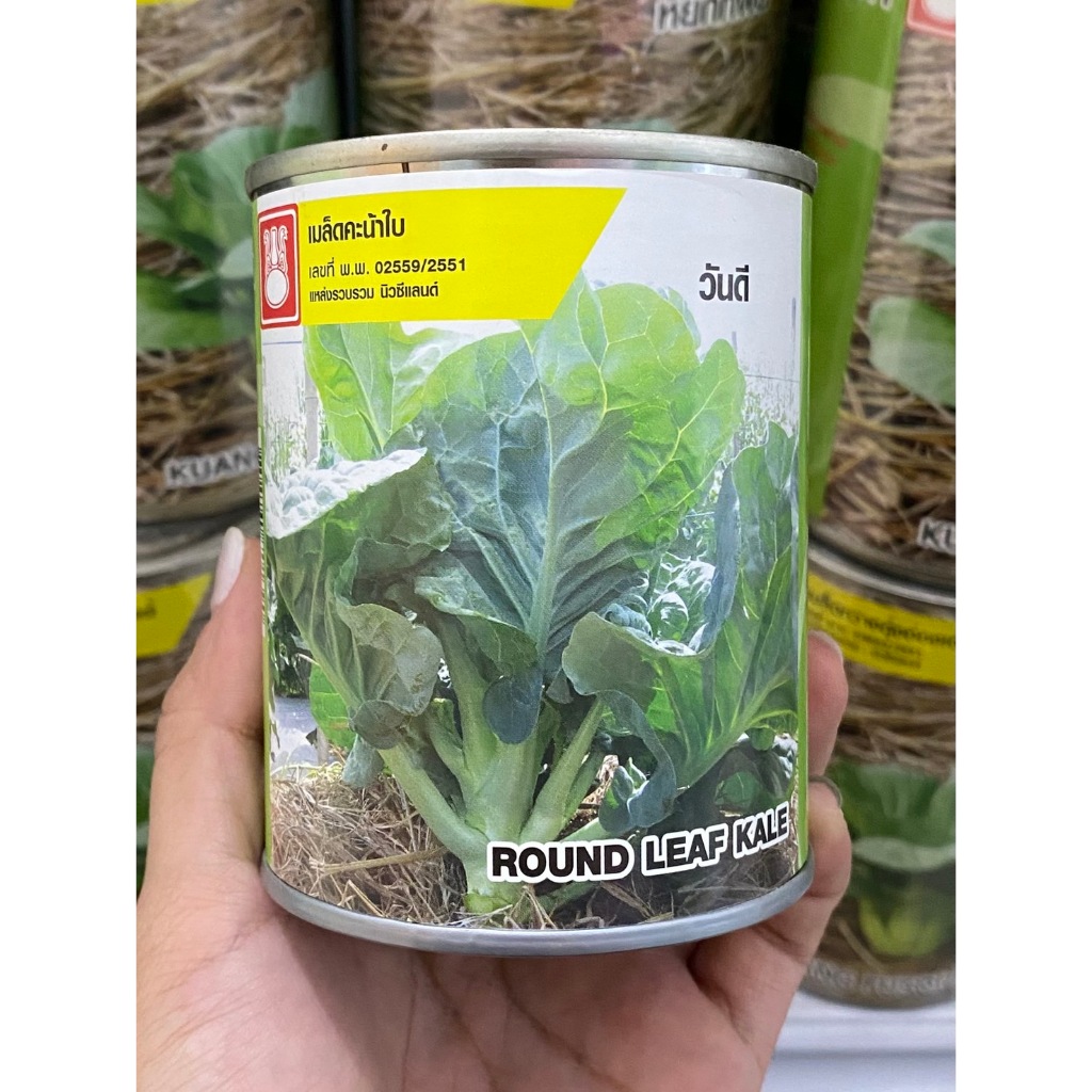 เมล็ดคะน้าใบกลม วันดี ตราน้ำเต้า 80 กรัม
