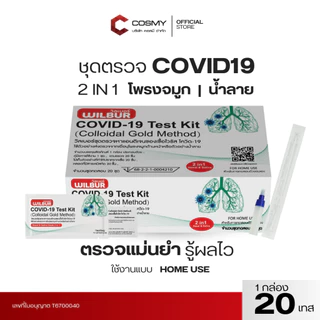 ชุดตรวจโควิด ATK Singclean 2in1 Antigen Test Kit 1กล่อง 20เทส กล่องเขียว แบบก้านยาว ATK ตรวจโควิด