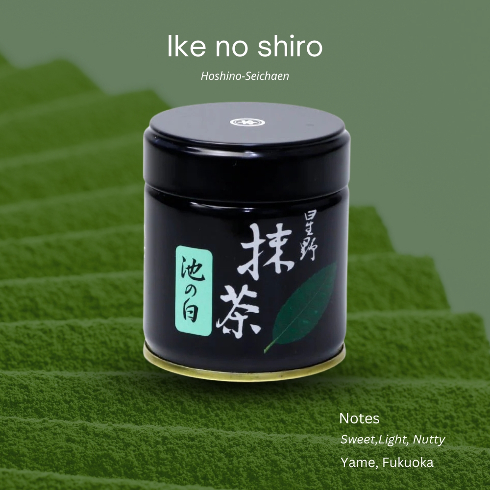 (พร้อมส่ง) "ike no Shiro" จาก Hoshino-Seichaen