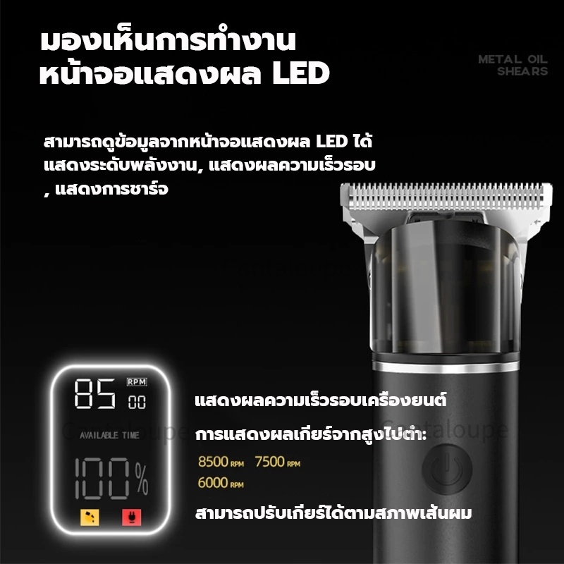 รูปภาพ 3