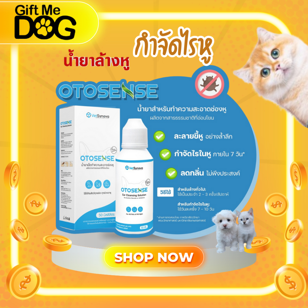Otosense น้ำยาเช็ดทำความสะอาดช่องหู ไรในหู ฆ่าเชื่อแบคทีเรีย รา ปริมาณ 50ml 100ml