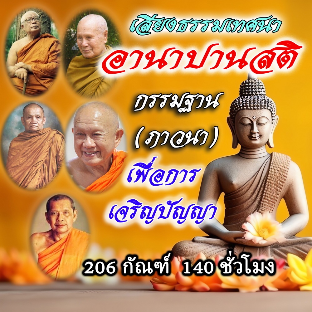USB MP3 Flash Drive แฟลชไดร์ฟธรรมะ ชุดที่ 25 อานาปานสติ กรรมฐาน (ภาวนา) เพื่อการเจริญปัญญา 206 กัณฑ์ 140 ชั่วโมง