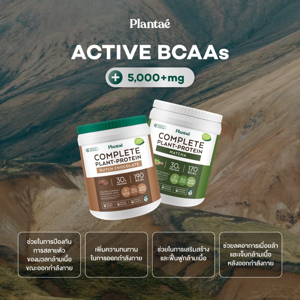 Plantae Complete Plant Protein สูตร Active BCAAs กระปุก 800g โปรตีนจากพืช plant based เพิ่มกล้ามเนื้อ โปรตีนสูง แพลนเต้ thumbnail 6
