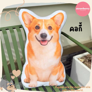 🐶หมอนพิมพ์ลายเจ้าหมา ตุ๊กตาหมา หมอนหมา ขนาด60cm ใบใหญ่ สีสวยคมชัด 🧺สต็อคแน่น พร้อมส่ง มีเก็บปลายทาง🚚