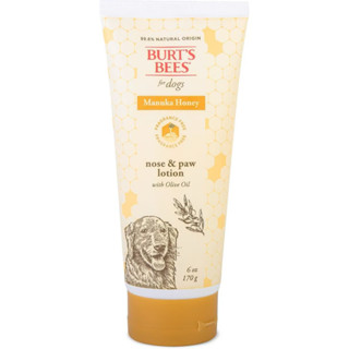 โลชั่นบำรุงจมูกและอุ้งเท้าสุนัข Burt’s Bees For Dogs Manuka …