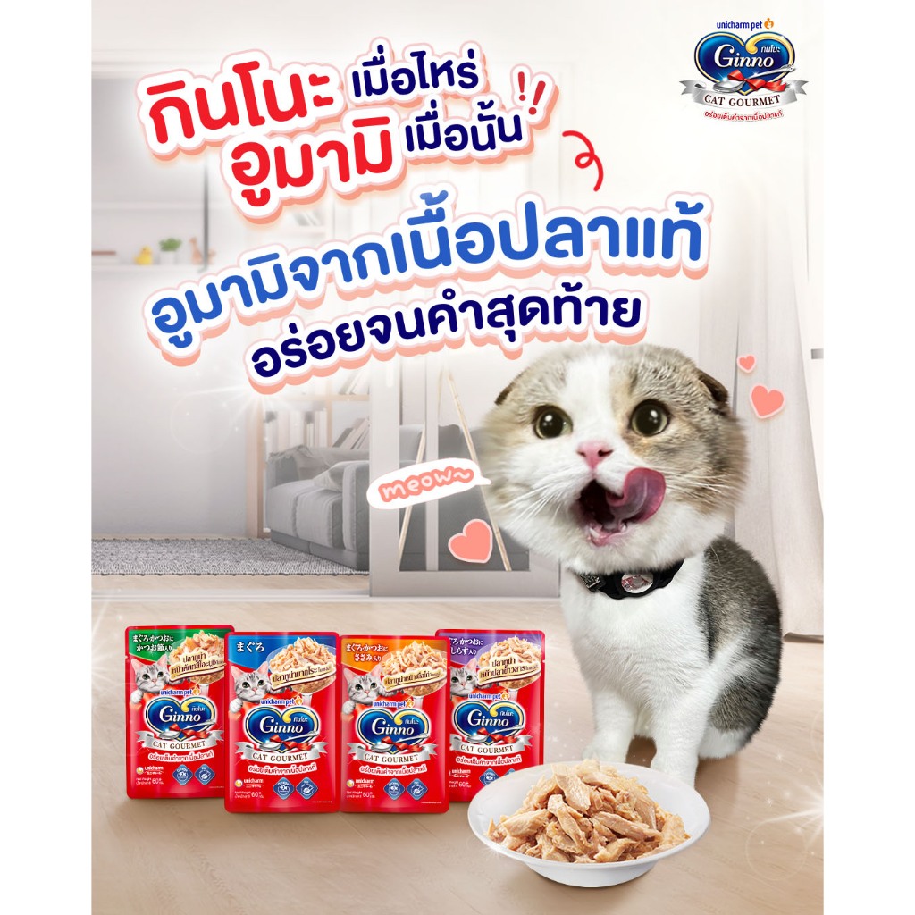 (12ซอง) Ginno Gravy กินโนะ แคท กูร์เมต์ อาหารเปียกแมว 60 กรัม (อาหารแมวเปียก)