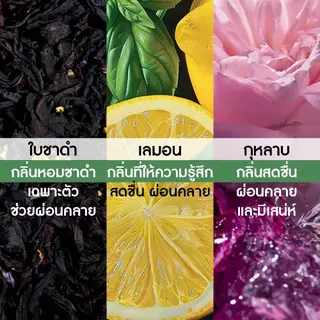 อีฟ โรเช Verte Envolee Eau De Parfum 30 มล. แวร์ อองโวเล่ เออ เดอ พาร์ฟูม - กลิ่นใบชา สดชื่น เบาสบาย