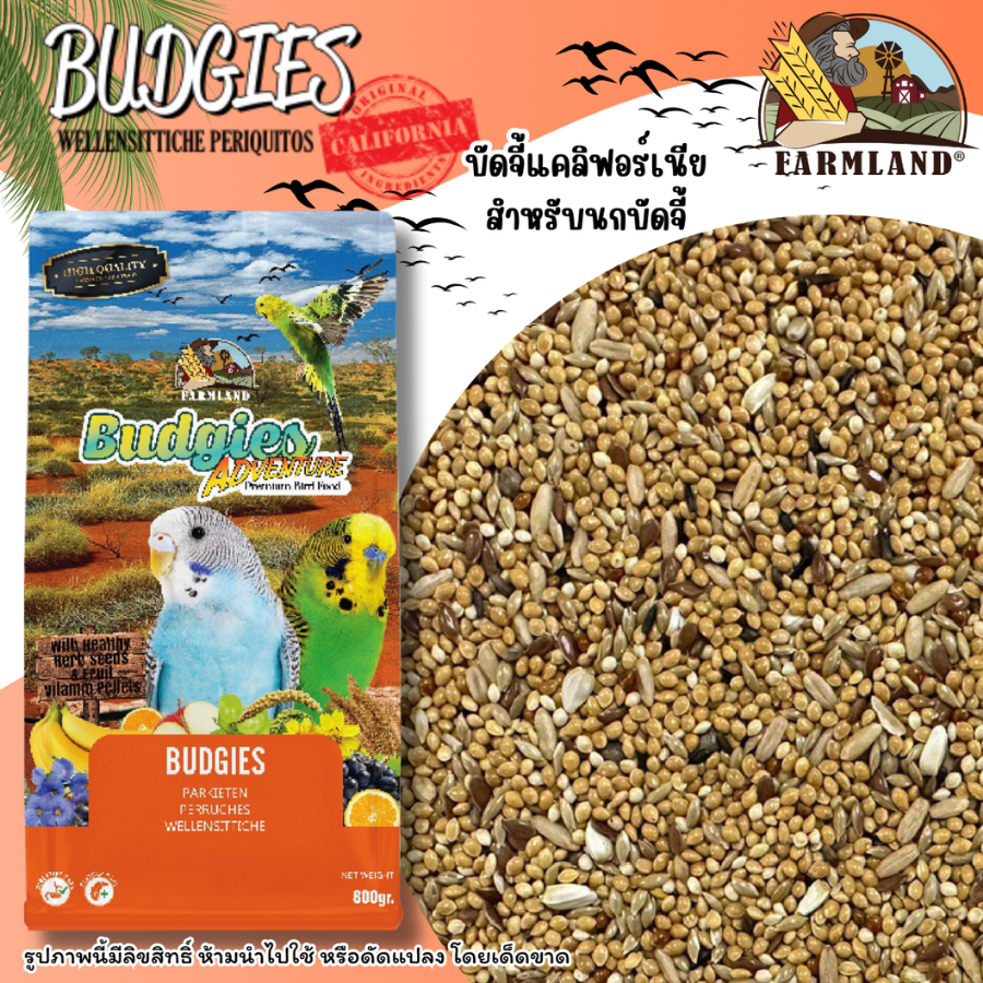 Farmland Budgies อาหารนกสำหรับนกหงส์หยก เกรดพรีเมียม [ขนาด800กรัม] 800951