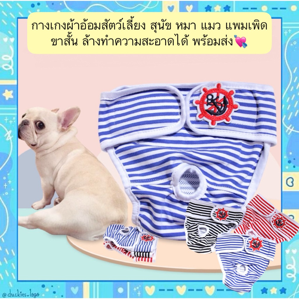 AL-1460 กางเกงผ้าอ้อมสำหรับสัตว์เลี้ยง 🐶🐱 เหมาะกับสุนัขและแมว ใส่สบาย ขาสั้นน่ารัก ซักใช้ซ้ำได้ ประหยัดและสะอาด พร้อมส่ง