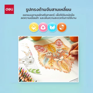 Deli ดินสอสีไม้กล่องเหล็ก คุณภาพสูง 12/24/36 สี แท่งหกเหลี่ยม สีสดใส สวยคมชัด Color Pencil