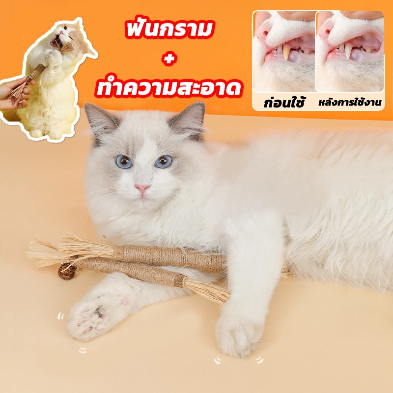 ของเล่นแมว ของเล่นทำความสะอาดฟันแมว หวายทำความสะอาดฟัน