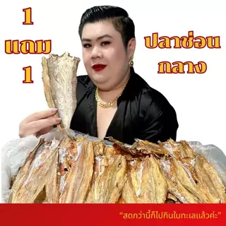 [1แถม1] ปลาช่อนกลางใหญ่ทะเลตากแห้ง คัดเกรดA 250g+250g ปลาช่อนกลาง มันส์นัว ไม่เค็ม หอม คัดอย่างดี สดกว่านี้ต้องไปกินในท