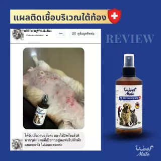 WoofMate วูฟเมท สเปรย์พ่นเชื้อรา คันขี้เรื้อนผิวหนังอักเสบแผลหนอง (มี2ขนาด)