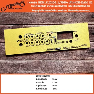 เพลทแอมป์+ปรีไมค์ ZK-DAM H2👉 Marwin'eแบรนด์แรกเพลทคอมโพสิทในตู้บลูทูธDIY.สินค้าในไทย🇹🇭 เพลท ZK-DAMH2