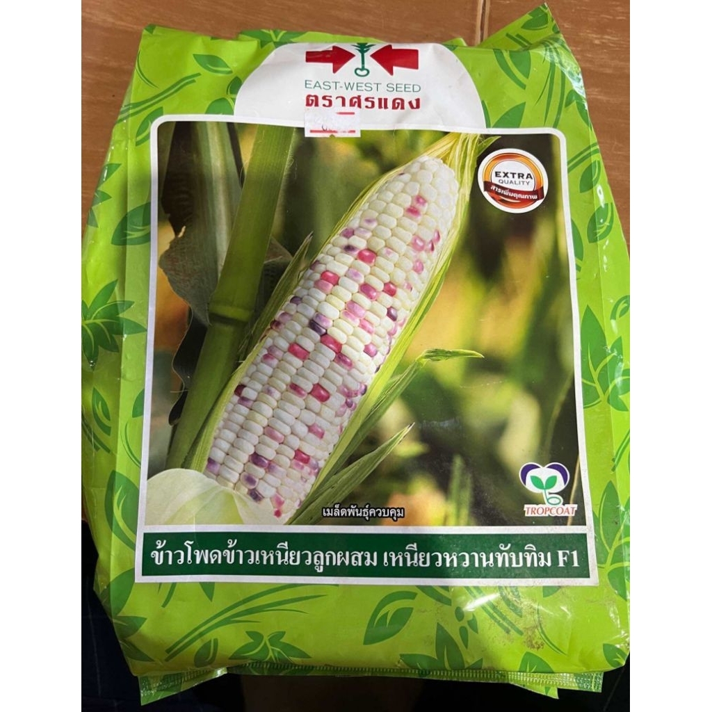 แบ่งขายเมล็ดข้าวโพดศรแดง 50 เมล็ด 20 บาท ข้าวเหนียวลูกผสม เหนียวหวานทับทิม F1