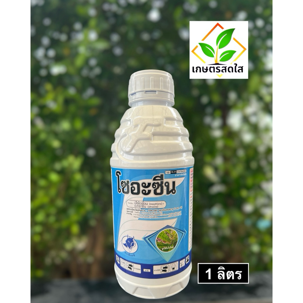 🔶 โซอะซีน (มีโซไตรโอน+อาทราซีน) *ขนาด 1 ลิตร 🔶 สารคุมฆ่าวัชพืชใบกว้างและใบแคบในข้าวโพด อ้อย