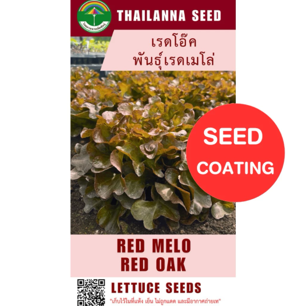 เมล็ดพันธุ์ผักสลัด เรดโอ๊ค พันธุ์เรดเมโล่ ( ขนาด 0.5 กรัม ) ( เมล็ดเคลือบ ) รหัสสินค้า SSC 1037