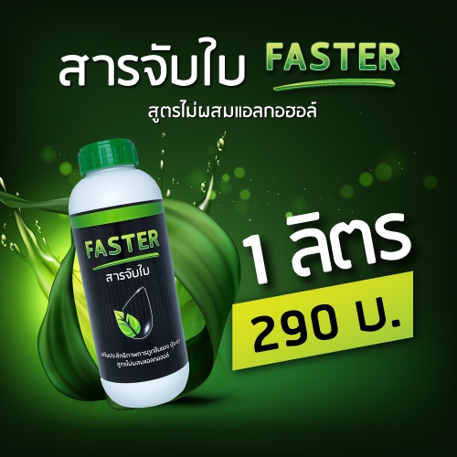 FASTER สารจับใบ สารเสริมประสิทธิภาพการดูดซึมของปุ๋ย-ยา (ขนาด 1 ลิตร) F1