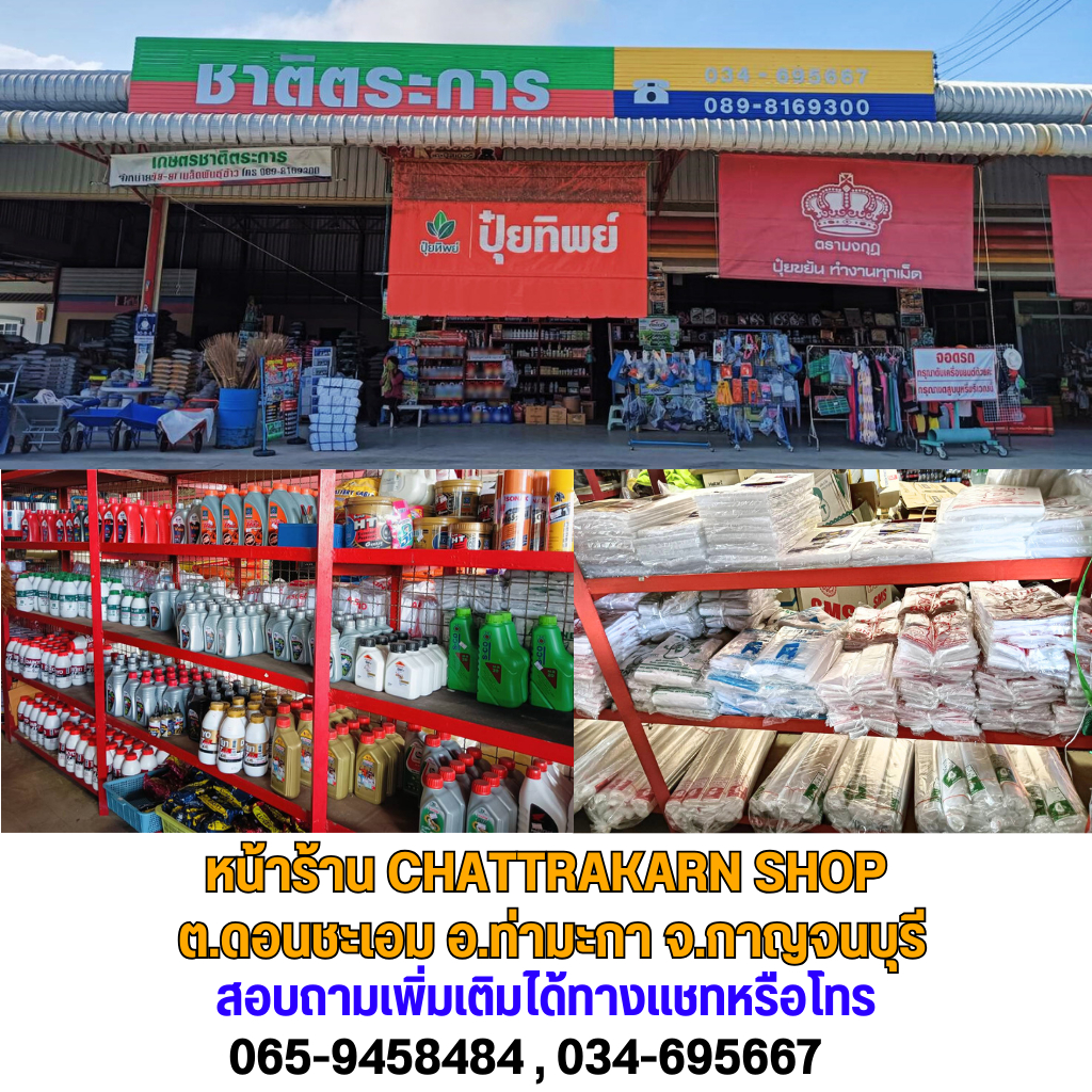 เมล็ดข้าวโพดเลี้ยงสัตว์  แบบบดหยาบสำหรับสัตว์เลี้ยง ขนาด 1 กก. - รูปที่ 2