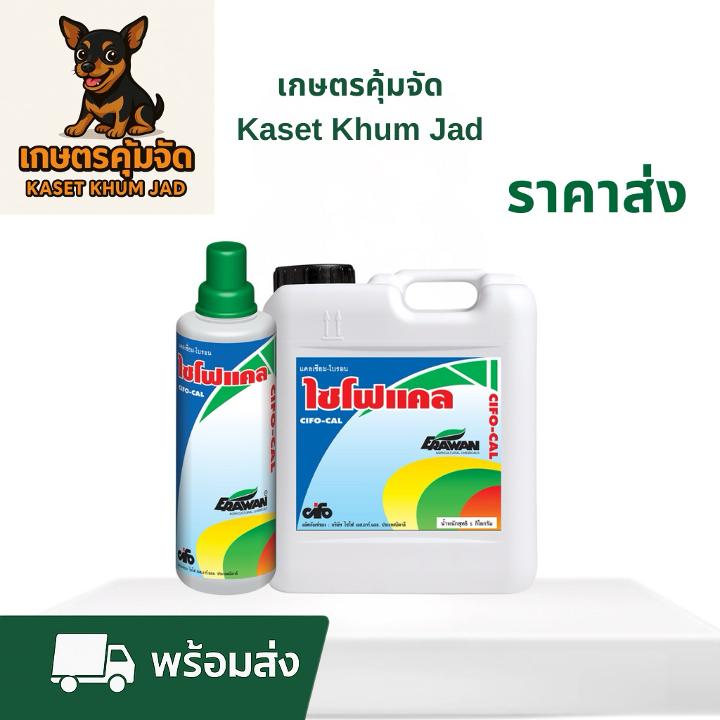 ไซโฟแคล 1 ล. – แคลเซียม–โบรอน เข้มข้นพิเศษ!