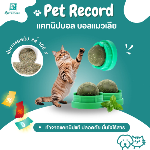 Pet Record กัญชาแมว แคทนิปบอล ติดกำแพง ไม่กลิ้งหาย กันชาแมวเลีย แคทนิปบอล ติดกำแพง