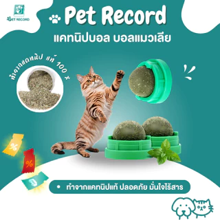 Pet Record กัญชาแมว แคทนิปบอล ติดกำแพง ไม่กลิ้งหาย กันชาแมวเลีย แคทนิปบอล ติดกำแพง
