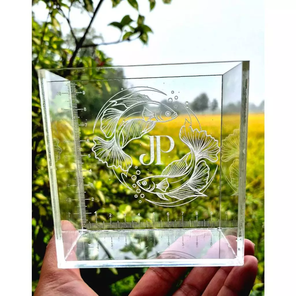 โหลปลา ตู้ปลา อะคริลิคใส ขนาดกว้าง10 สูง10 ลึก5 เลเซอร์ลายฟรี ส่งรายละเอียดทางข้อความก่อนนะคะ สินค้าเป็นพรีออเดอร์ thumbnail 5