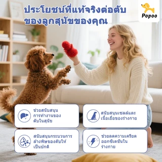 Popoo Liver Health Support for Dogs การทำงานของตับ ภูมิคุ้มกัน สุขภาพระบบย่อยอาหาร ขนมสุนัข อาหารสุนัข 120 แคปซูล