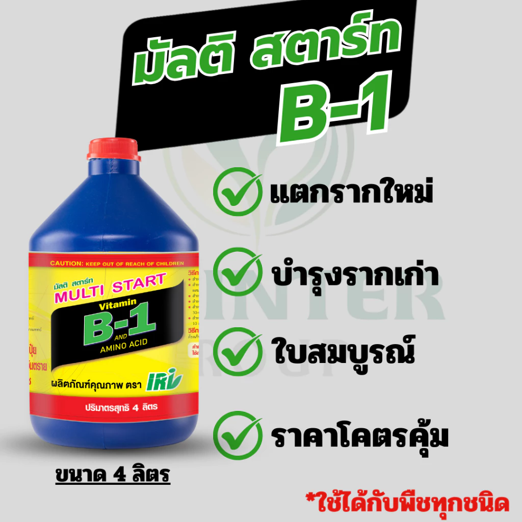สารเสริมราก มัลติ สตาร์ทB1 ช่วยให้รากแตกใหม่ รากเยอะ ต้นสมบูรณ์ เพาะเมล็ด ราคาถูกสุดๆ 4,000 cc.