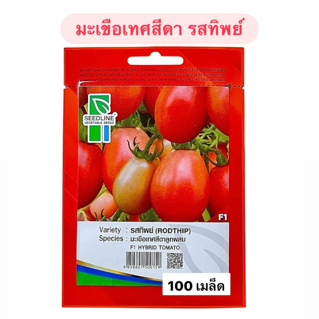 มะเขือเทศสีดา รสทิพย์ (100 เมล็ด) ซีดไลน์
