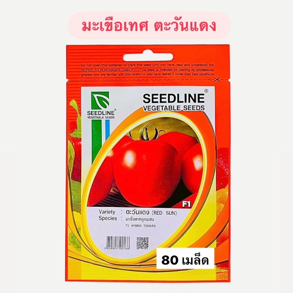 มะเขือเทศ ผลใหญ่ ตะวันแดง (80 เมล็ด) ซีดไลน์ ราคาถูก Shopee Lazada