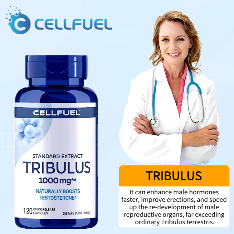 แข็งแรงและแข็งแรงอเมริกันนำเข้า Tribulus Terrestris ธรรมชาติแข็งแรงฟิตเนส 120 แคปซูล 1000mg