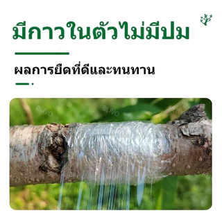 เทปพันกิ่งไม้ เทปพันกิ่งทาบ เทปพันตา หน้ากว้าง 3,4,5 ซม หนา ทนทาน คุณภาพดี ส่งของทุกวัน ส่งของจากประเทศไทย
