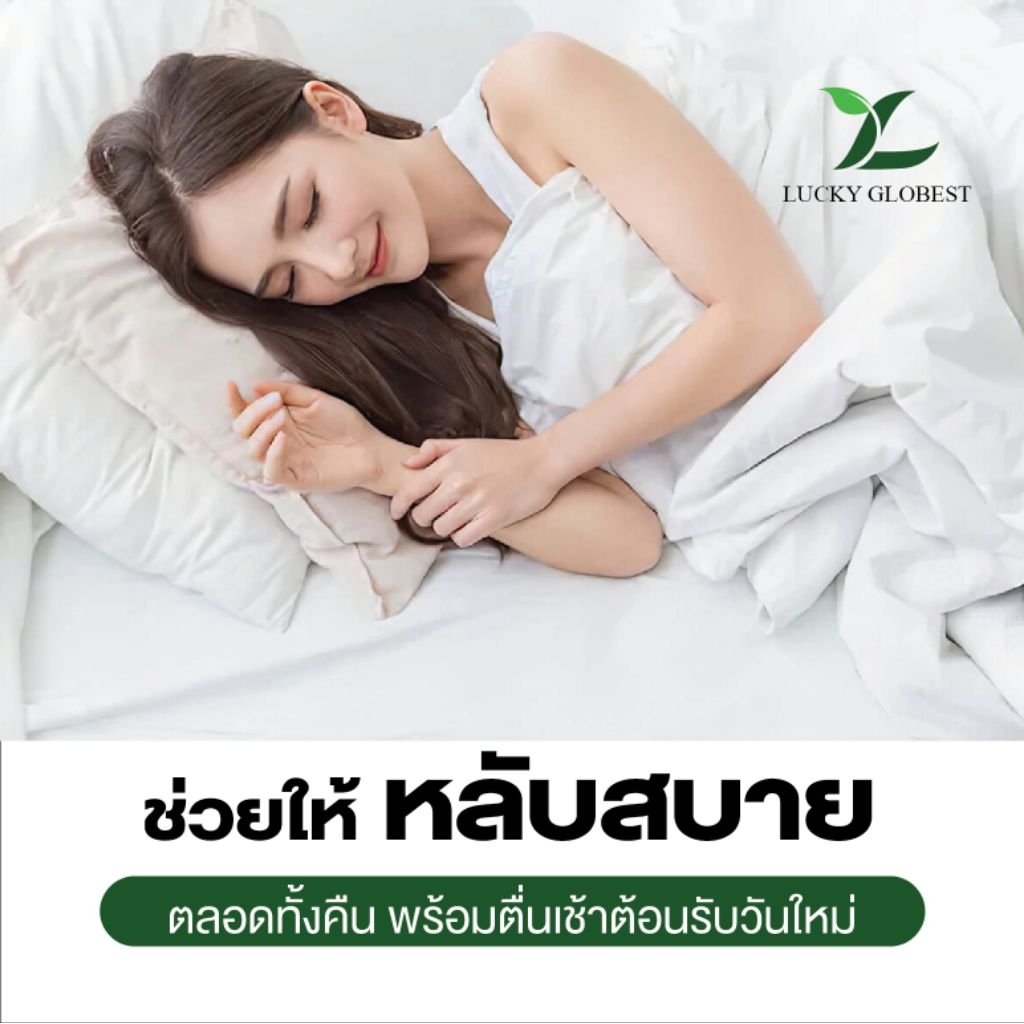 Lucky Globest ที่นอน