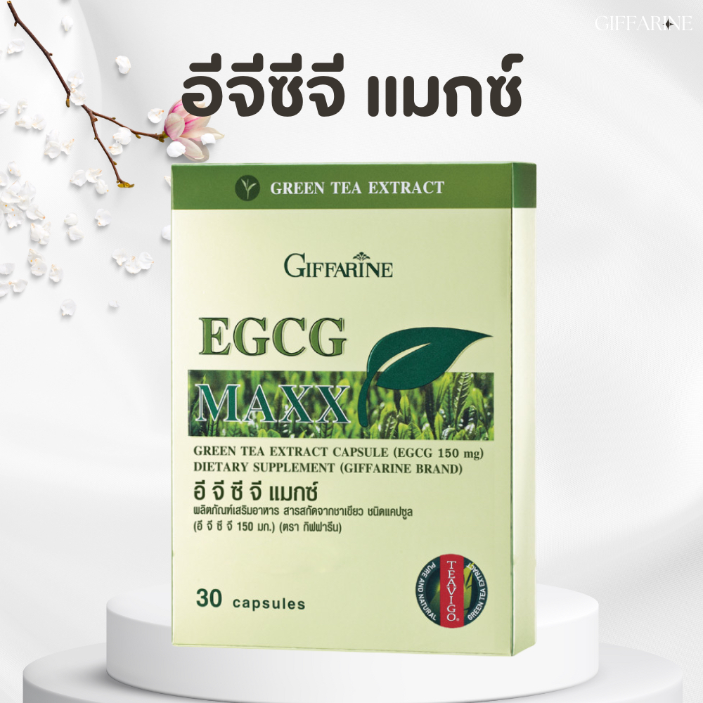 อีจีซีจี แมกซ์ กิฟฟารีน EGCG Maxx GIFFARINE สารสกัดจากชาเขียว