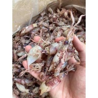 หมึกกะตอยต้ม ปลาหมึกกะตอย อาหารทะเลแห้ง เนื้อนุ่ม สะอาด ปลอดภัย สินค้าคุณภาพ พร้อมส่ง