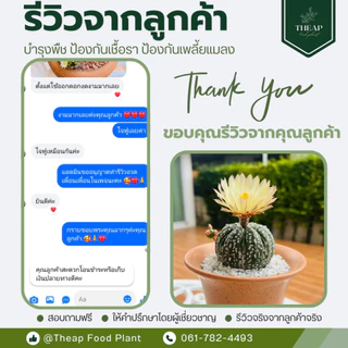 โปรโมชั่นแพ็คคู่สู้ฝน (สูตรบำรุงและสูตรป้องกันเชื้อรา) THEAP
