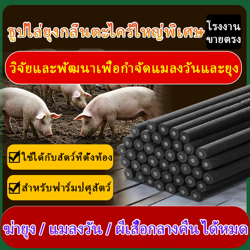 โรงงานขายตรง ธูปจัมโบ้ตะไคร้ ไล่ ยุง 1.2เมตร 20แท่ง ยากันยุง ยาจุดกันยุง ธูปไล่ยุง ธูปจัมโบ้ตะใครัไล่ยุง ธูปตะไคร้ไล่ยุง