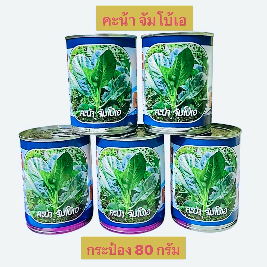 คะน้า คะน้าจัมโบ้ (กระป๋อง 80 กรัม) ราคา ถูกที่สุด ดีลบีเคเค