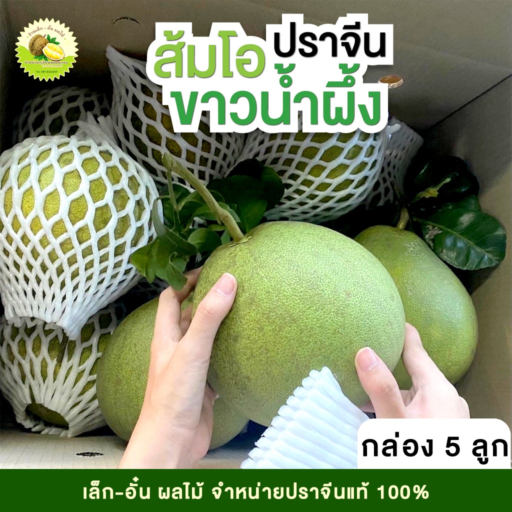 ส้มโอขาวน้ำผึ้งปราจีน📦[กล่อง5ลูก]🍐คัดคุณภาพ 💥 ร้านเล็ก-อั๋น ผลไม้ปราจีนบุรี