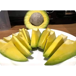 ‼️ส่งฟรี‼️ AVOCADO #บัคคาเนีย 🌈 3โล 170 บาท ✅️เหนียวมันเนยหนึบ