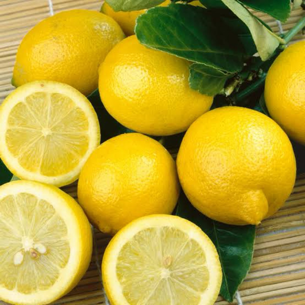 เลม่อนสด พรีเมียม น้ำเยอะ เปรี้ยวหอม เกรดนำเข้า | Lemon Fresh พร้อมส่ง (1 ลูก)