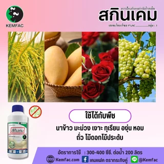 สกินเคม ขนาด1ลิตร สารเฮกซะโคนาโซล5% สารป้องกันและกำจัดโรคพืช ออกฤทธิ์ดูดซึมโรคกาบใบแห้ง โรคใบขีดสีน้ำตาล คุมโรคได้กว้าง