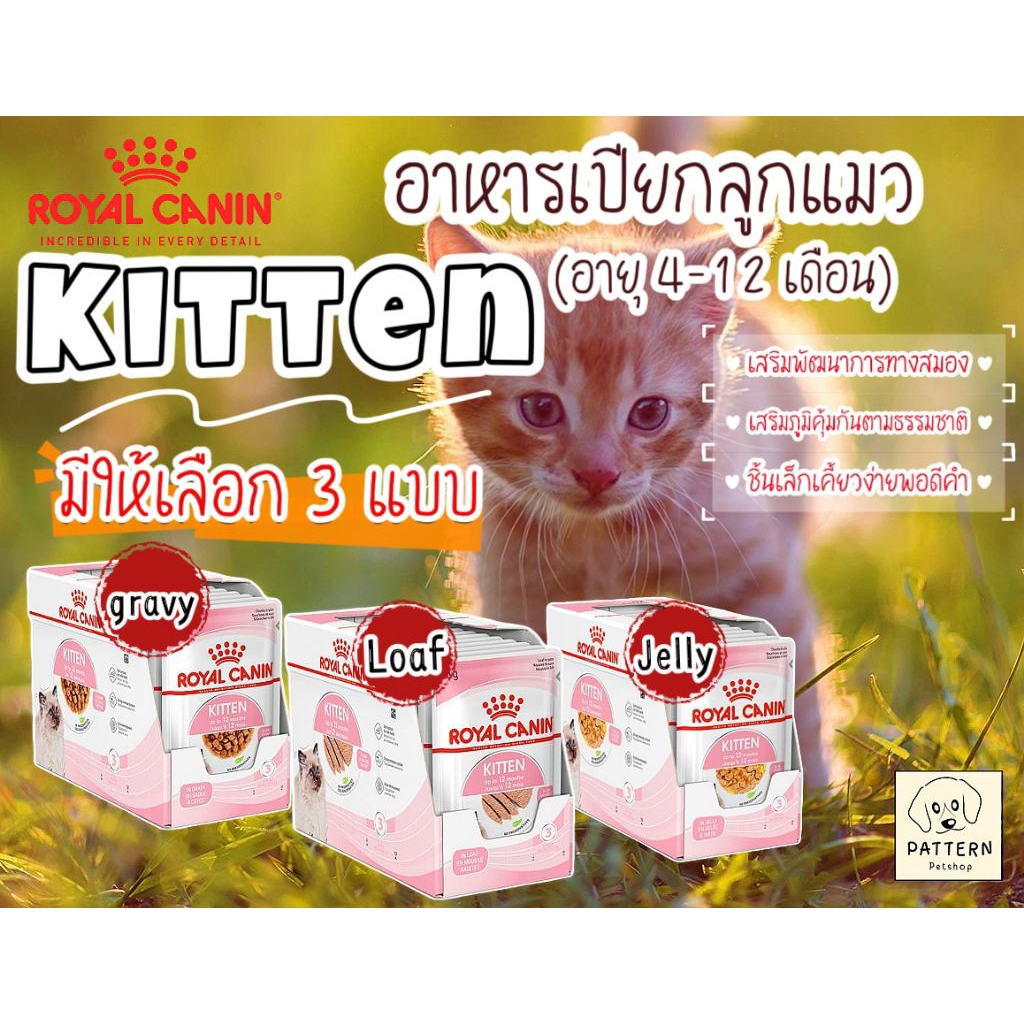 Royal Canin Kitten มี 3 สูตร (สูตร Jelly,สูตร Loaf, สูตร Gravy)อาหารเปียกสำหรับลูกแมวอายุ 4-12 เดือน