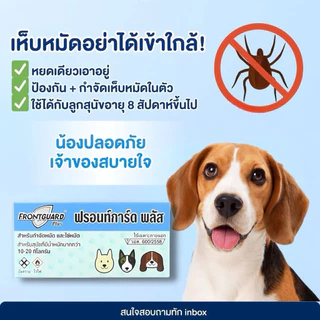 (ยกแพค 50 กล่องเล็ก) FrontGuard Plus ฟรอนท์การ์ด พลัส ผลิตภัณฑ์กำจัดเห็บหมัดสุนัข และแมว 8 สัปดาห์ ขึ้นไป