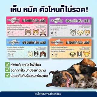 (( ยกแพค 50 กล่องเล็ก )) FrontGuard Plus ฟรอนท์การ์ด พลัส ผล…